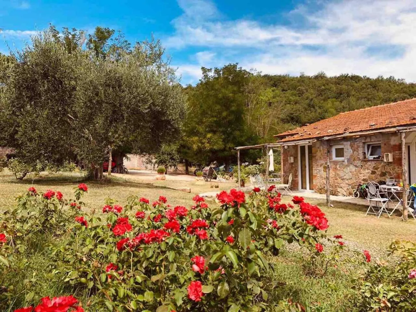 Agriturismo Poggio Ceraso Di Lamioni Roberto Magliano in Toscana