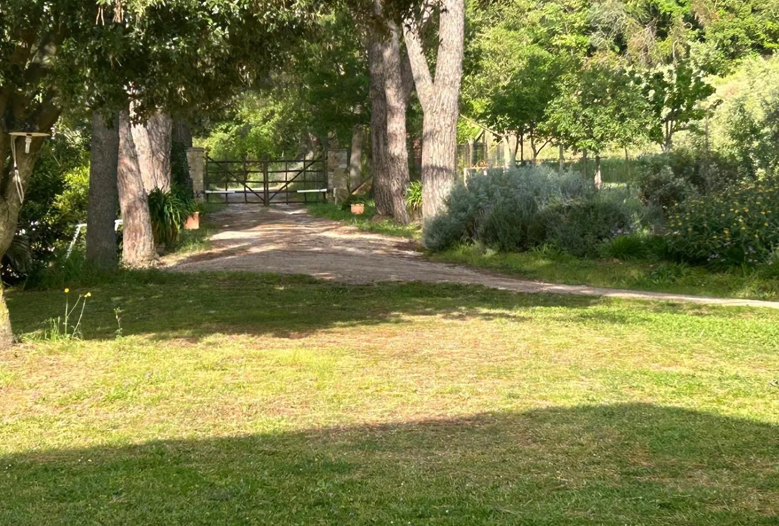 Agriturismo Poggio Ceraso Di Lamioni Roberto Magliano in Toscana 0*,
