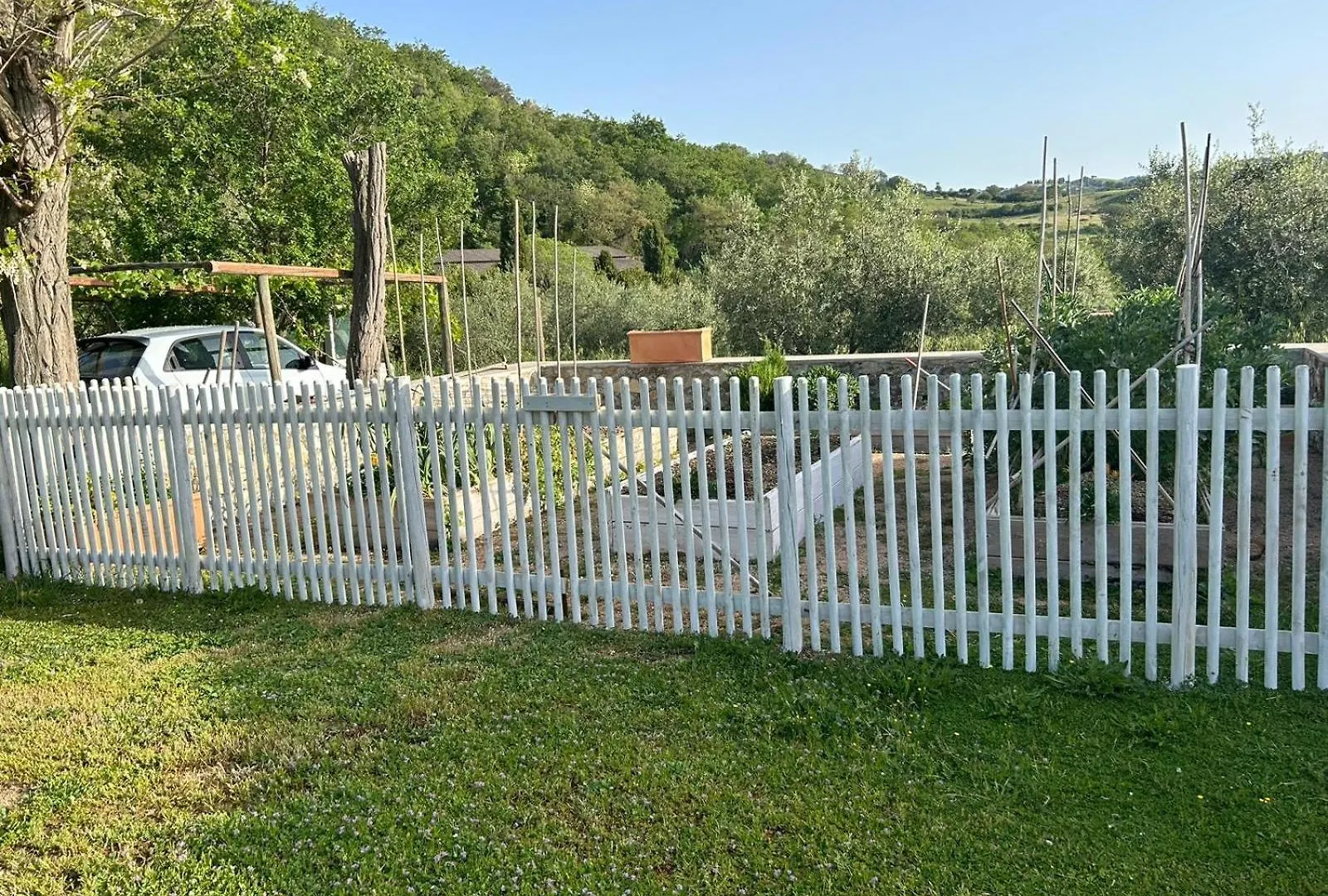 Agriturismo Poggio Ceraso Di Lamioni Roberto Magliano in Toscana