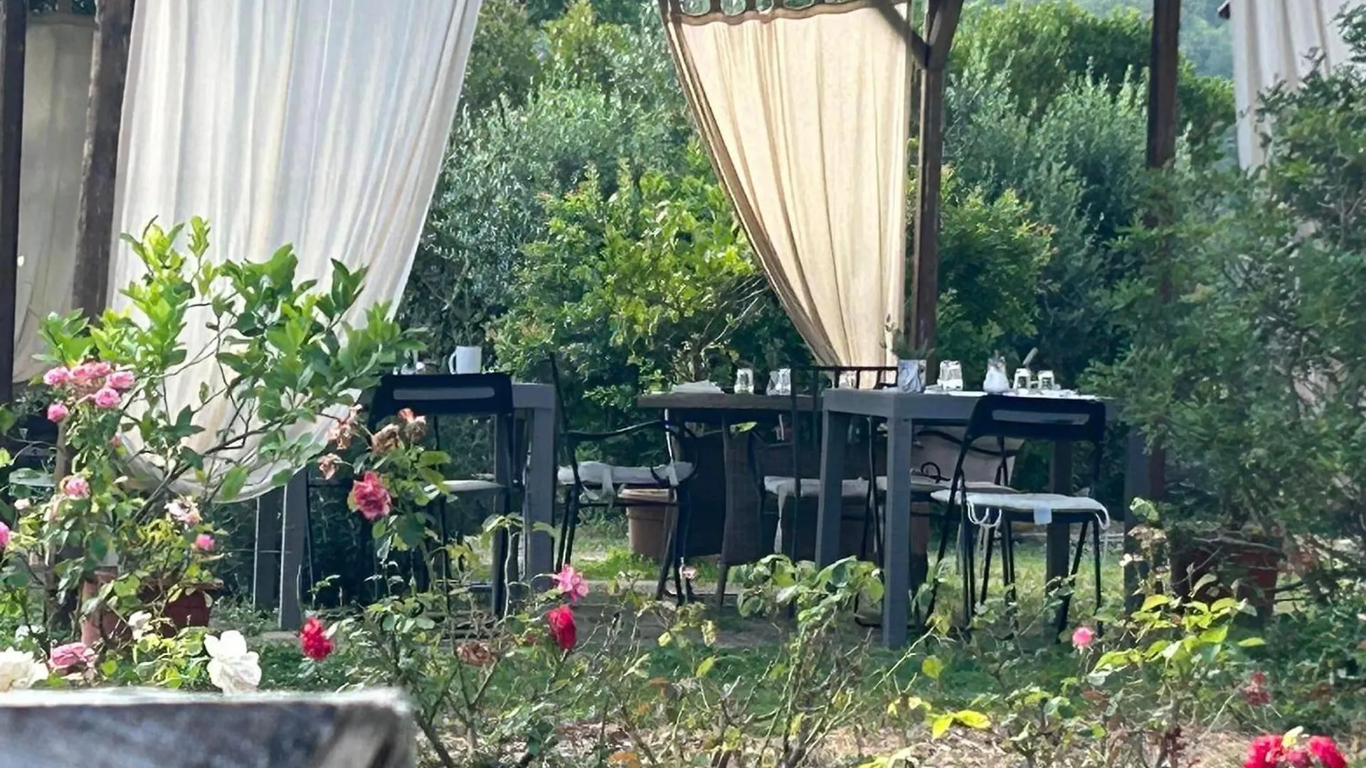 Farm stay Agriturismo Poggio Ceraso Di Lamioni Roberto Magliano in Toscana Italy