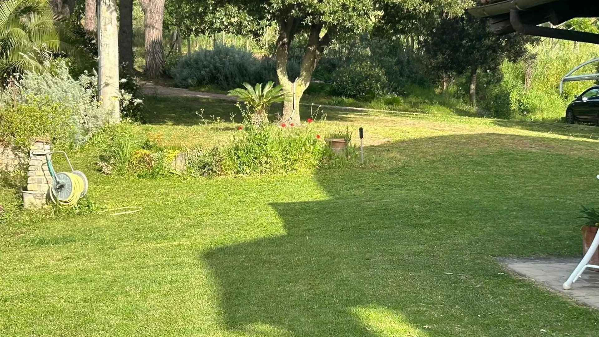 Agriturismo Poggio Ceraso Di Lamioni Roberto Magliano in Toscana Italy