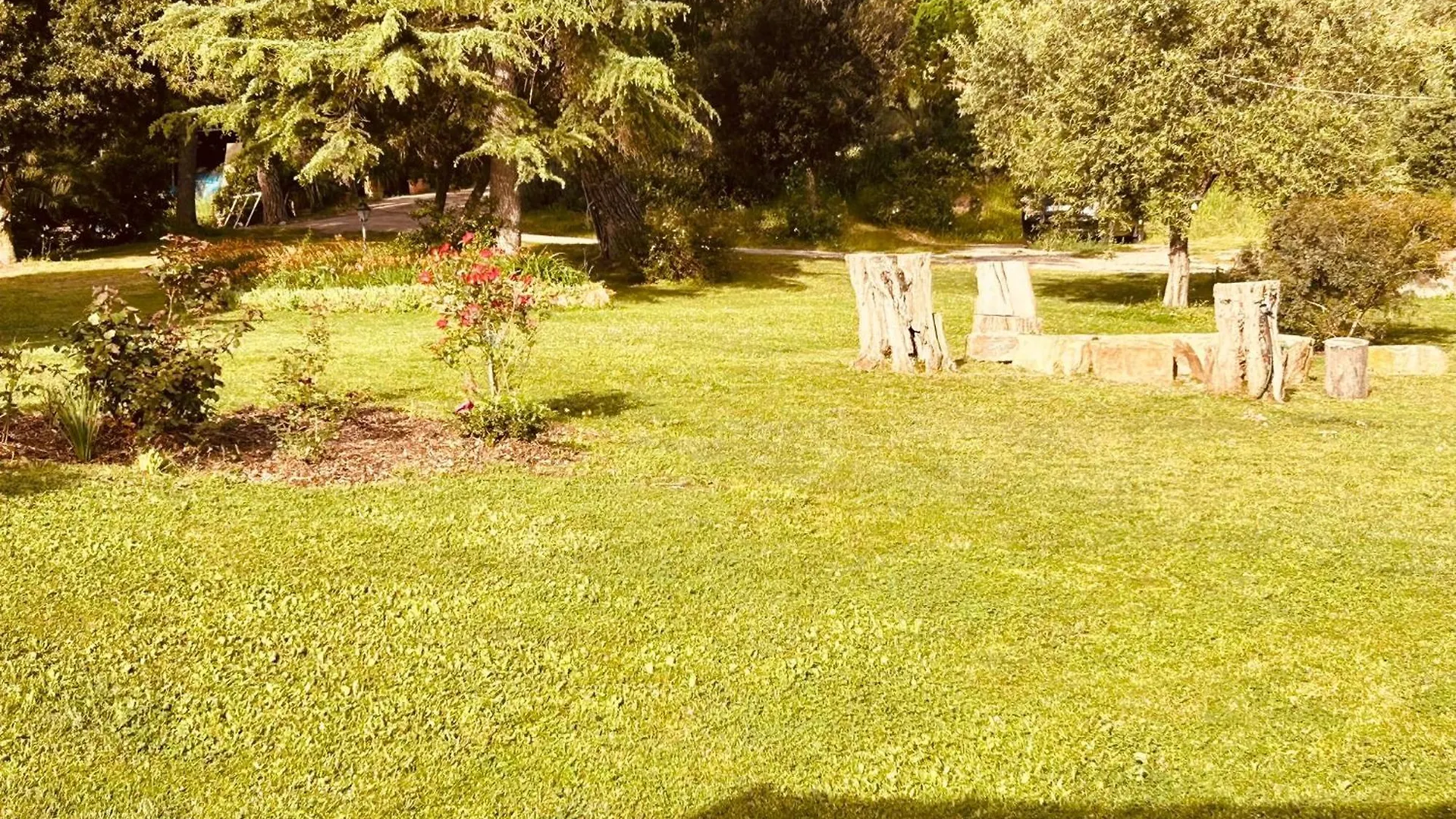 Agriturismo Poggio Ceraso Di Lamioni Roberto Magliano in Toscana Farm stay