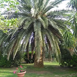 La Palma Alloggio per agriturismo